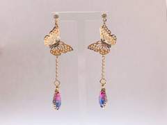 🦋Butterfly Drop🦋