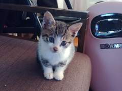 샘플 엽편(원고지 15매)2부,단편(원고지 60매)1부