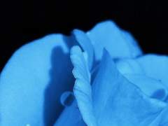 타라제드 M.A. 하인드리히 / 체헤른