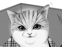 오늘의 운세는?