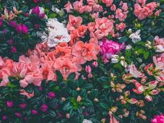 ...네, 네게도 구원이 기, 깃들기를.