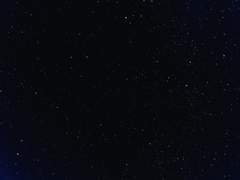 [현제유진] 시간여행자