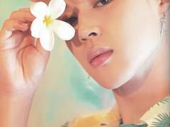 분홍(雰虹) - 보라_22