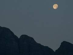 어느 날, 마을에 있던 모든 아이들이 사라졌다.