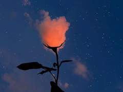 [Close] ◇수공예 악세사리 커미션◇