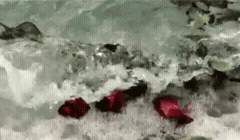 안녕하세요, 초면이네요