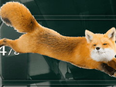 [여우술래잡기]후기!