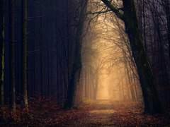 [톨비밀레] 일각의 사치