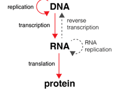 저온실의 필요성 - 02