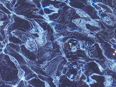 수중전(水中戰) 04