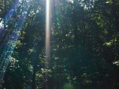 한겨울에 여름보기