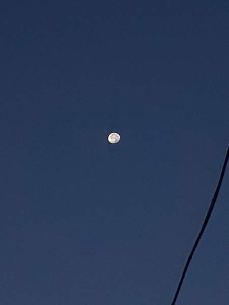 [요한로드] 국혼