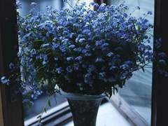 [제롬✕레이몬드] Forget-Me-Not (외전)