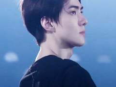 표현 불능의 발달 단계 15