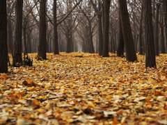 ᴏғғ ᴏɴ ᴏғғ