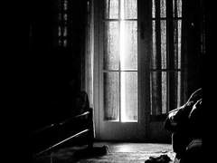 케이다이(가이디루) - 등불꽃 (2)