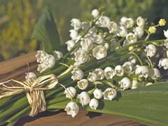 [토니바튼] 토막글 3개