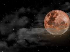 [고죠유지] 러브레터