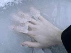 백도 윤 27 한국