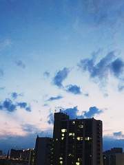 IF. 새장고등학교