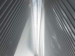 A fox is not taken twice in the same snare.