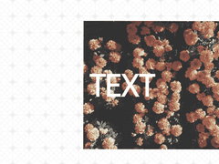 [킨조마에]불쾌한 왜곡