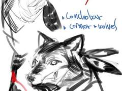 AC _ 코너X셰이 1