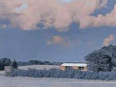 [한서리/1학년/육상부/0]