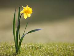 너네가 무슨 어둠의 자식들이냐?