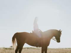 활동하는 사이트들 정리