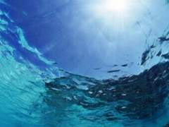 심연의 속삭임 3화