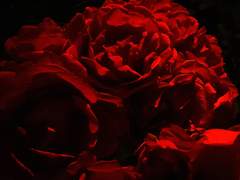 다시는 나를 떠나지 마.