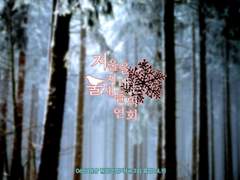 겨울을 지내는 울새들의 연회