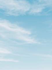 다음에 또 만나자