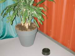 [토니 스타크] 25살의 우연