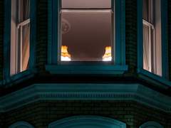 生과 死, 그 사이에서 苦悶하는가