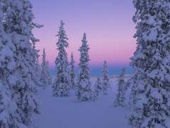 우린 겨울에서 멈춰 서 있어 _A