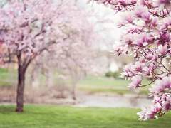 리오나 에이프릴 / XX / 22