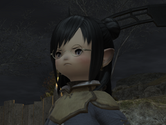 새싹의 파판일기 2