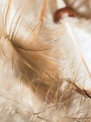 클로엔 헬리오스 라즐리의 기록들