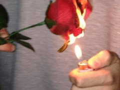 [슈짐] 애완동물