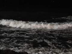 01. 포스트 아포칼립스