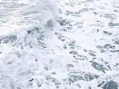 하얀 손목에 핀 라일락*