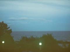 [세라토카] 향수