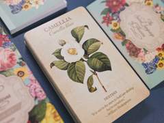 CAMELLIA TAROT 개인 상담