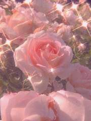 [민뷔] 우주 라이크 파파