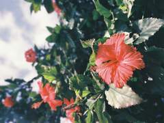 [에이리세] 닮은 사랑