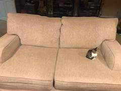 손이사님댁 아가고영