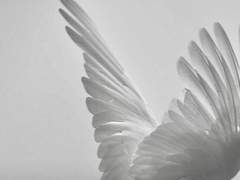 형태 없는 창살