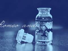 [광식광]Beguiled (上)